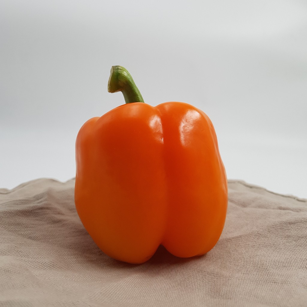 

Paprika Orange Konvensional 1 pcs