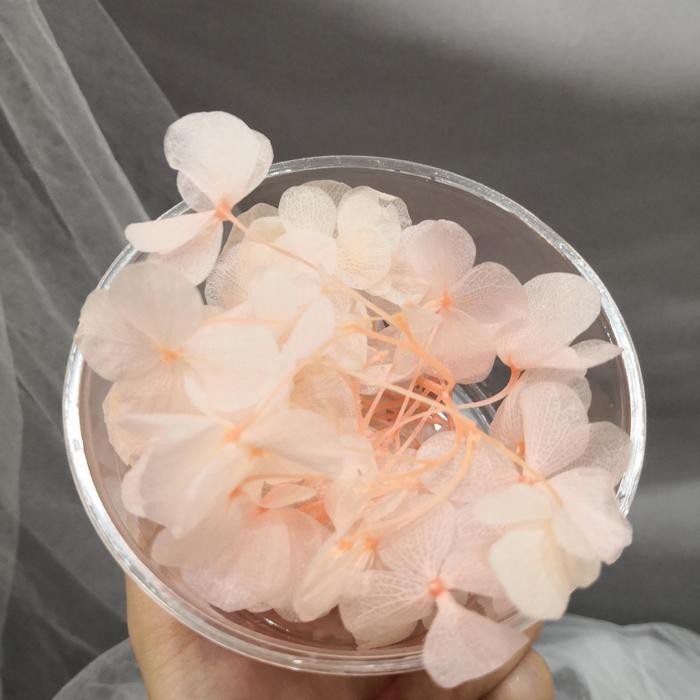 New Hydrangea Preserved bunga kering