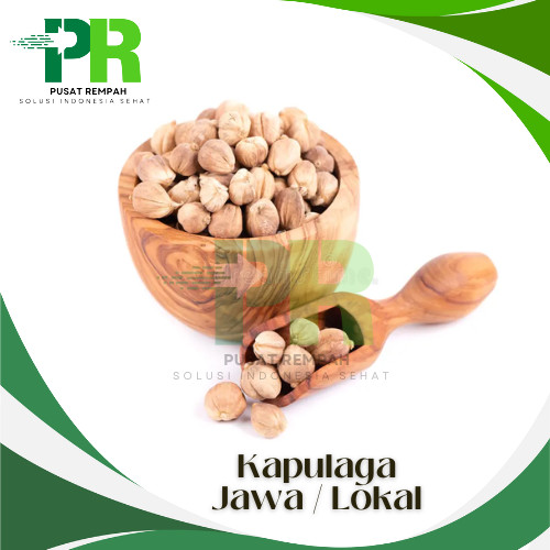 

1kg Biji Kapulaga Jawa Putih Alami True Cardamon Premium / Bumbu Pelengkap Masakan Biji Kapulaga Putih Lokal 1 Kilogram Pusatrempah