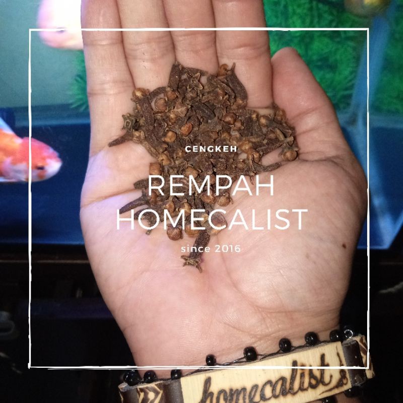 

Cengkeh 50gram/Cengkeh Kering/Cengkeh Coklat