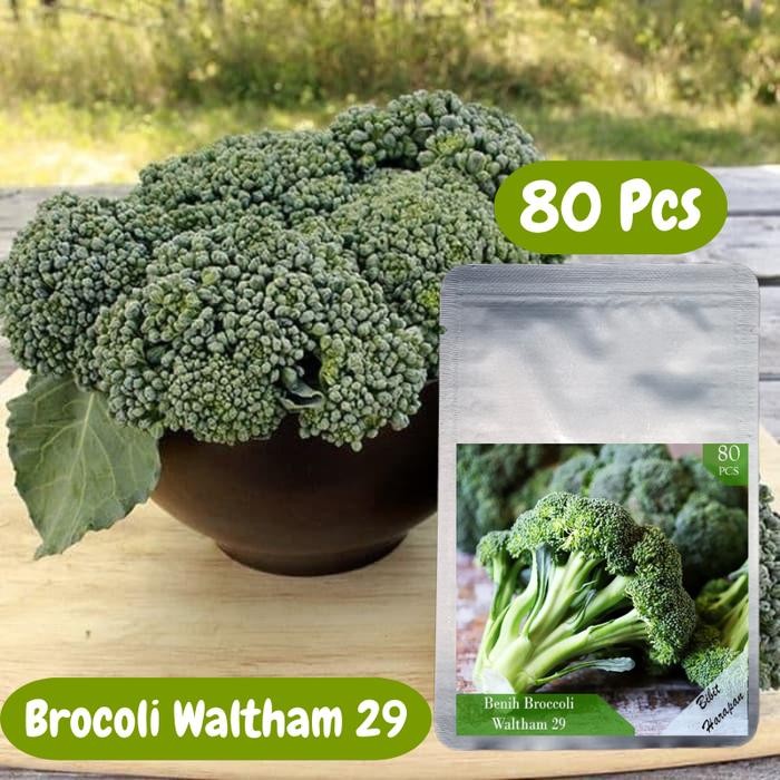 Benih Bibit Biji Sayur Brokoli Waltham 29 Sayuran Brocooli Brokoli