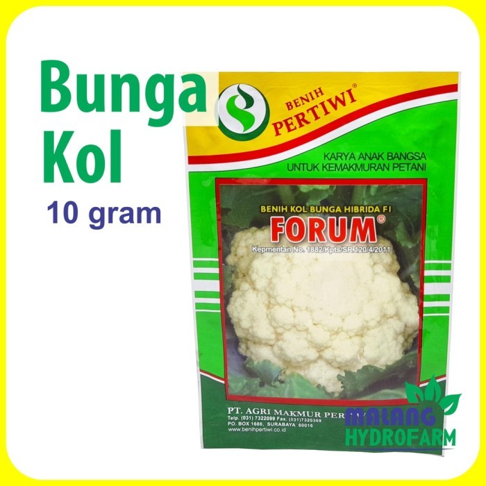 Benih Bunga Kol Forum 10 gram pertiwi bibit sayur kembang hijau putih