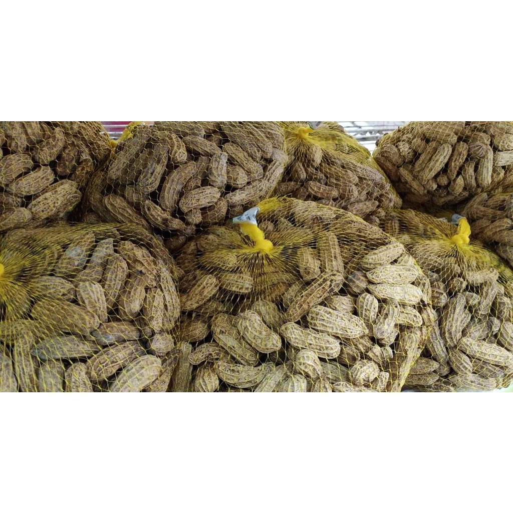 

DUTA BUAH KACANG KULIT THAILAND 900G-1KG