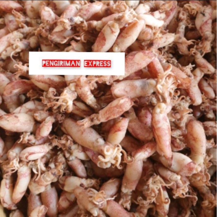 

Ikan asin cumi beby super - 1kg