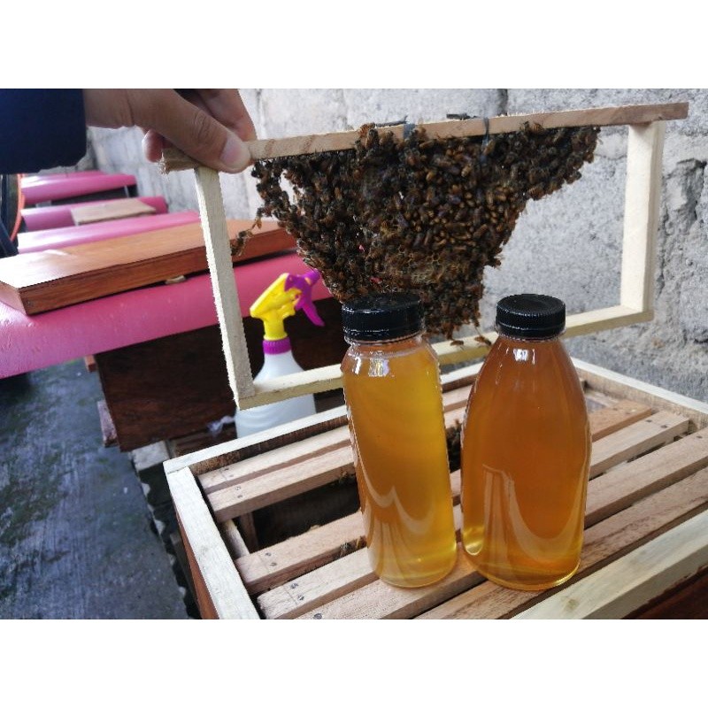 

Restokobar Madu Lebah Asli 100% Madu Asli Murni Tanpa Campuran