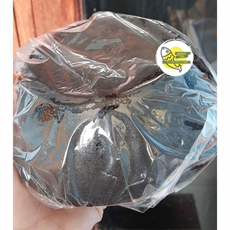 

GULA BATOK SUPER PREMIUM
