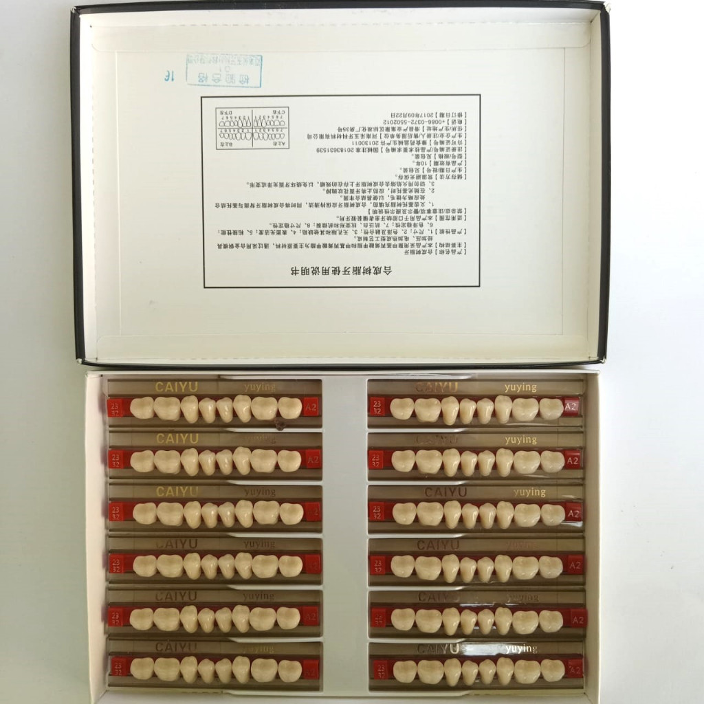 Gigi Palsu Graham Bawah 1 Box/Kotak/Pack Isi 12 Papan Caiyu/permanen/lepas pasang