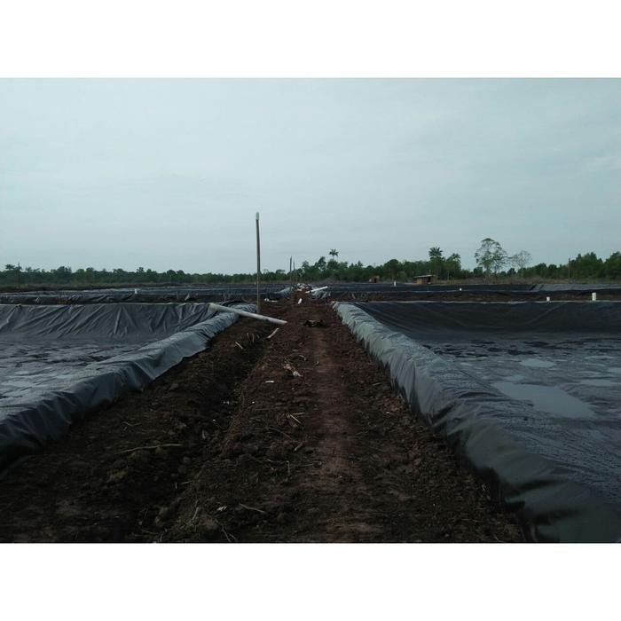 FREE ONGKIR Terpal HDPE Geomembrane Rostek 50m x 5,5m, 0,3mm