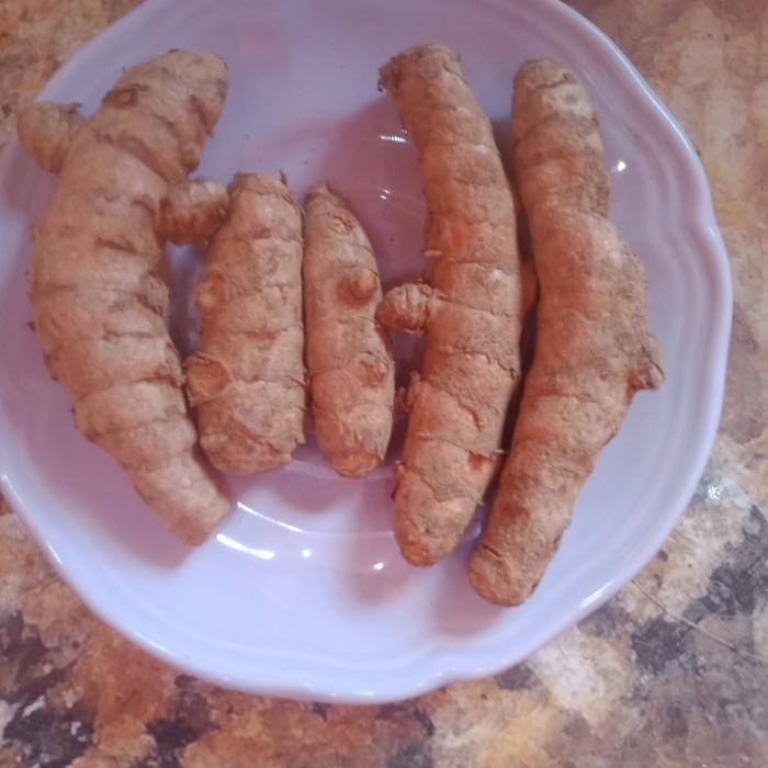 

Terlaris Kunyit 1 Kilogram Fresh Besar