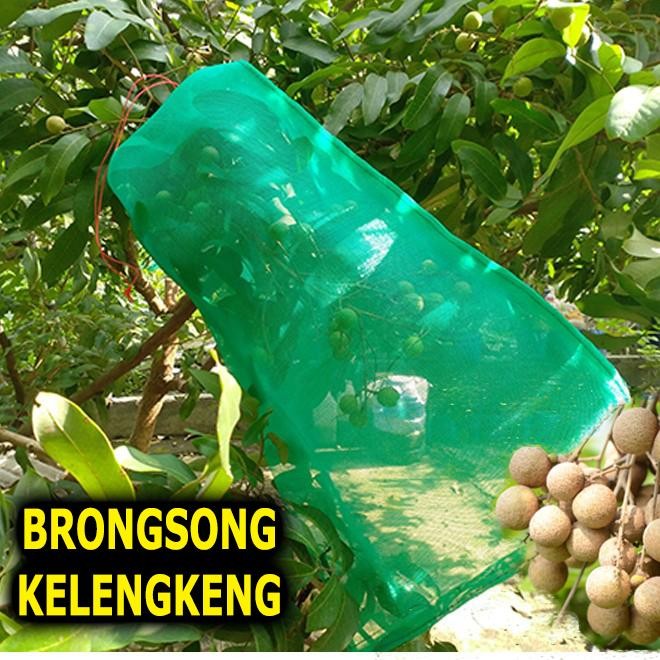 Brongsong Pembungkus Buah Klengkeng Sedang