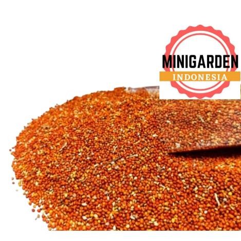 

Terlaris Biji Jewawut Kemasan 1Kg Biji Kunyit Juwawut Sekoi Foxtail Pakan Burung