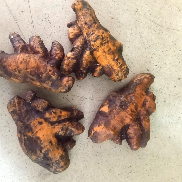 

Terlaris Posil Batu Kunyit Orginal