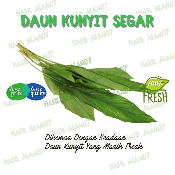 

Terlaris Daun Kunyit Segar 1Ikat