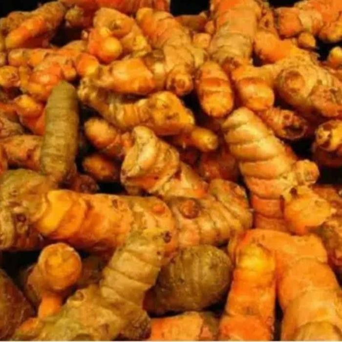 

Terlaris Kunyit Kuning Fresh 500 Gram