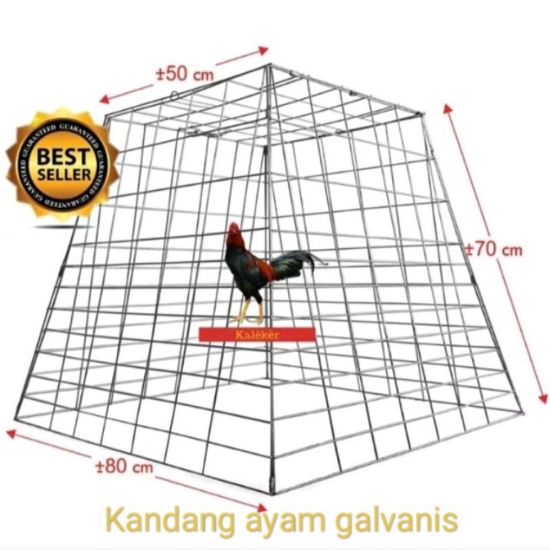 Kandang ayam/kurungan ayam galvanis ukuran80x70x50cm
