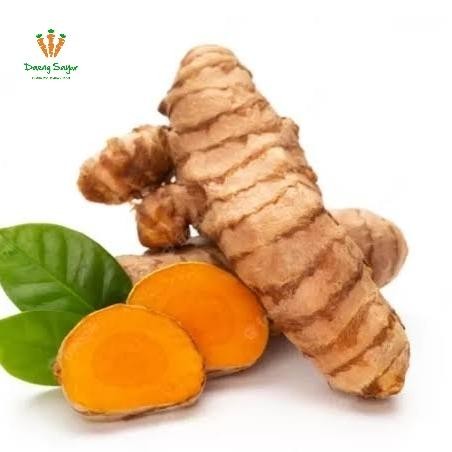 

Terlaris Kunyit Basah Kunir Basah Segar - 200Gr