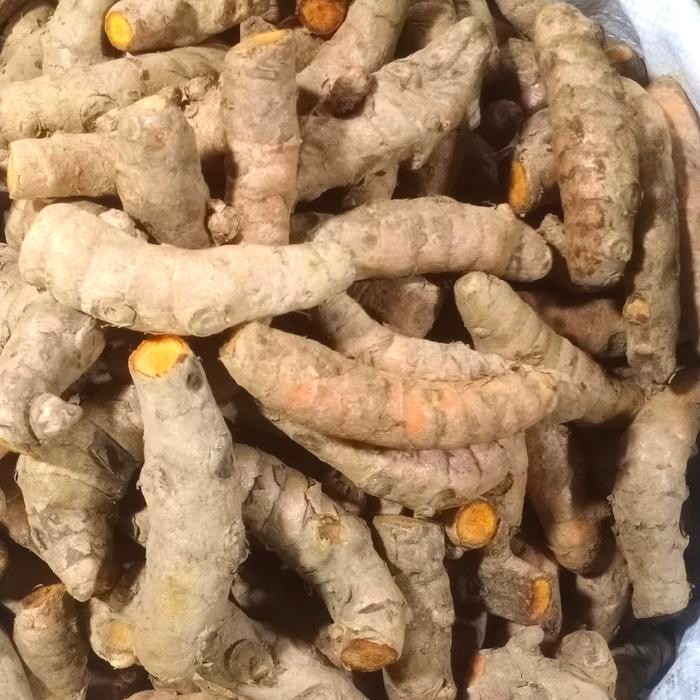 

Terlaris Kunyit Segar Ukuran Sedang 500 Gr