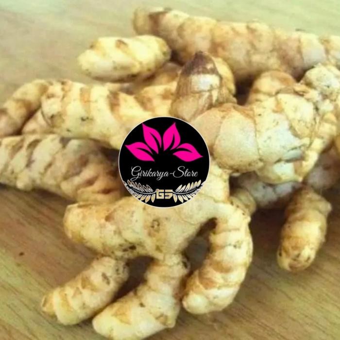 

Terlaris Kunyit Putih Segar -Asli Organik Herbal Curcuma Zedoaria 500Gram