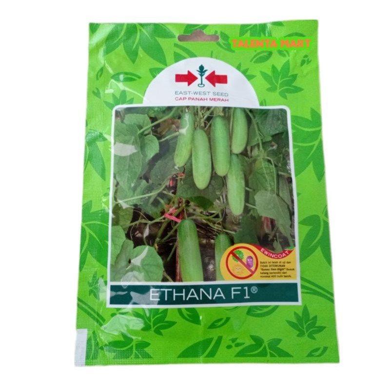 175 Butir Benih Timun ETHANA F1 Cap Panah Merah