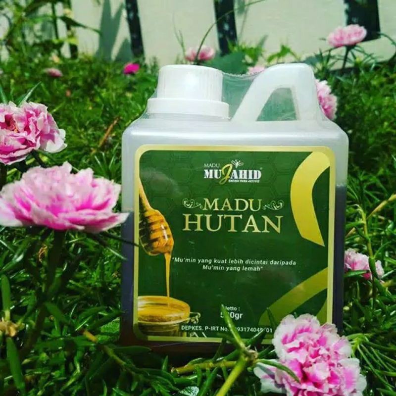 

Sensasi Lezat Madu Hutan Mujahid 500Gr Madu Enak Manis / Madu Manis Super [Kemasan Hijau]