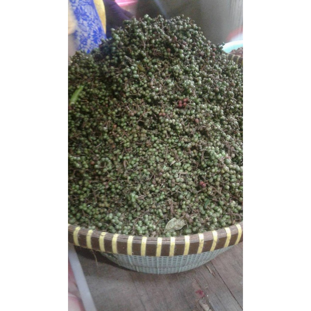 

Andaliman Paket 250 Gram New