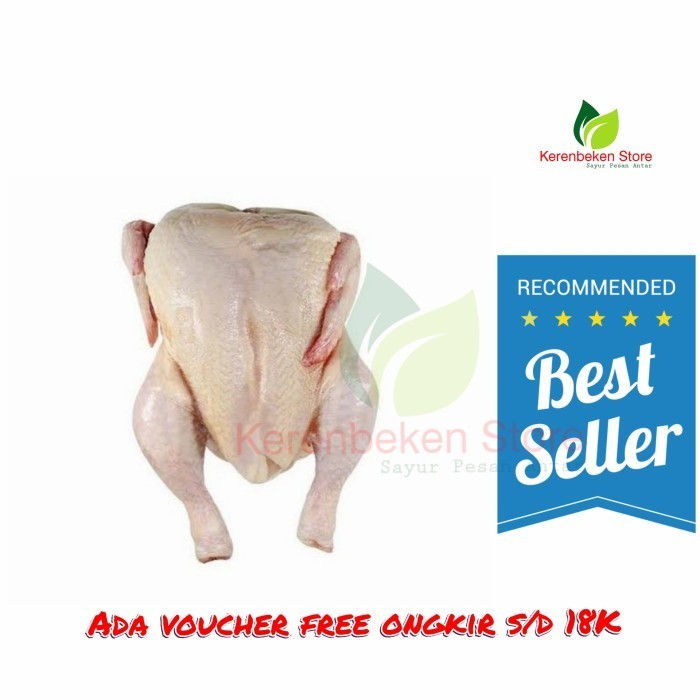 

ayam kecil ukuran 800gr per ekor fresh no frozen New