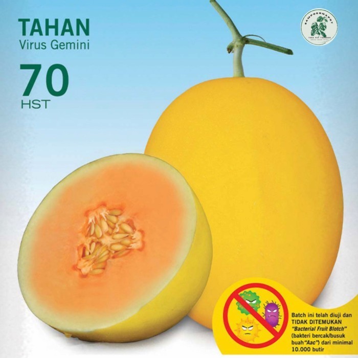 [Allthebest] benih bibit melon hibrida alisha f1 cap panah merah - MELON ALISHA F1