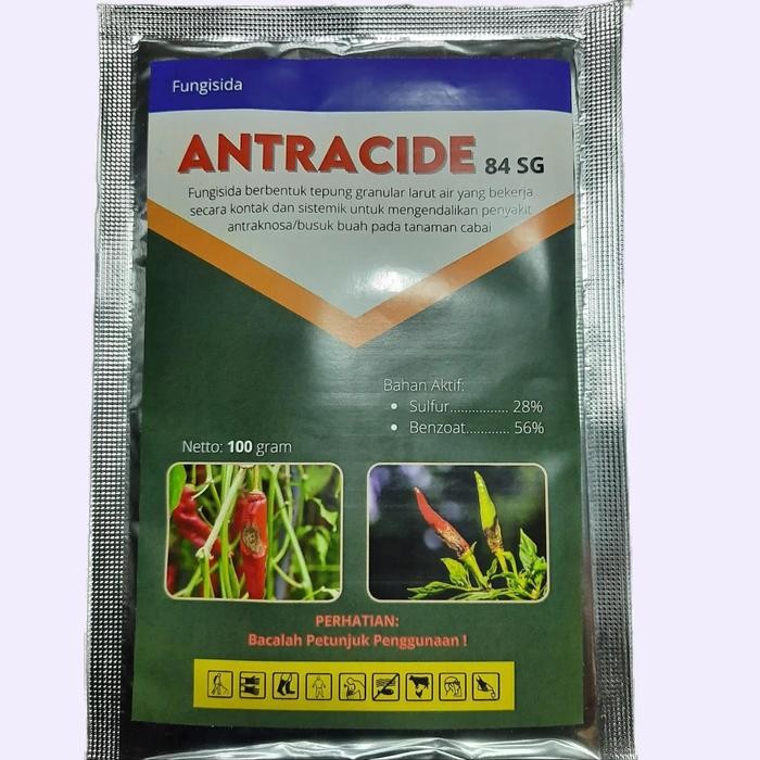 ANTRACIDE 84 SG 100 gram Fungisida Antraknosa / Patek / Cacar / Busuk Buah dan Daun