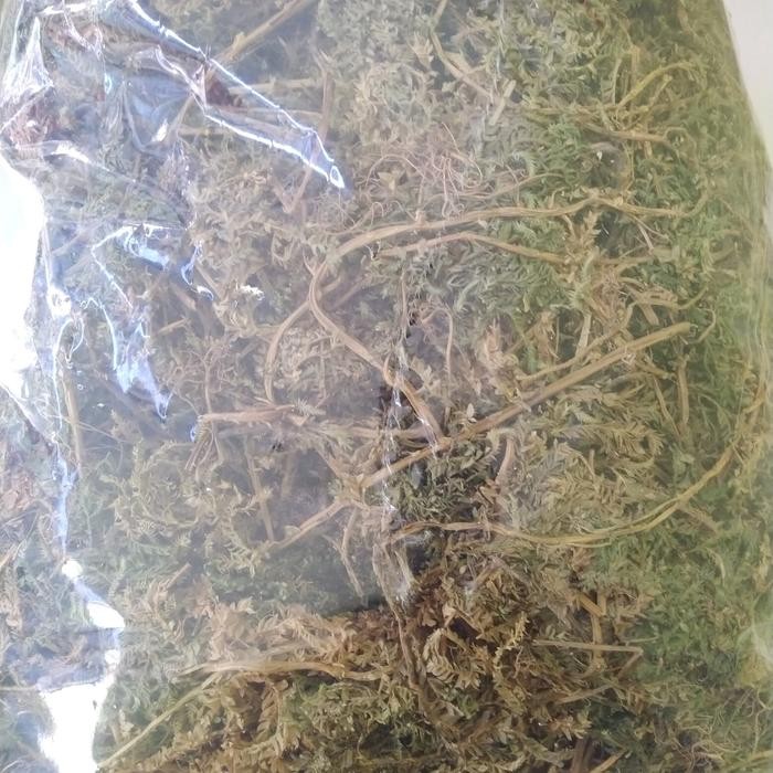 

TERMURAHH!! Daun Cakar Ayam Kering 500gr