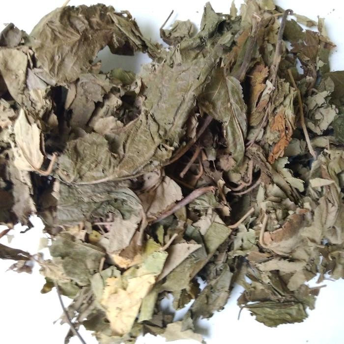 

TERMURAHH!! Daun Jati Belanda Kering 1kg