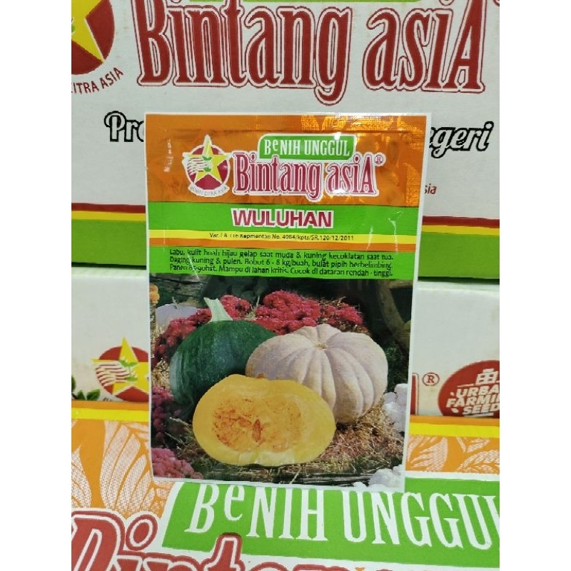 Benih Labu Waluh Kuning WULUHAN 20 Gram - Bintang Asia
