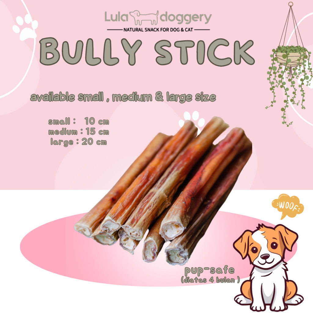 

Andrianbijaksana Bully Stick - Snack Anjing Gigitan Dental Chew - Lula Doggery