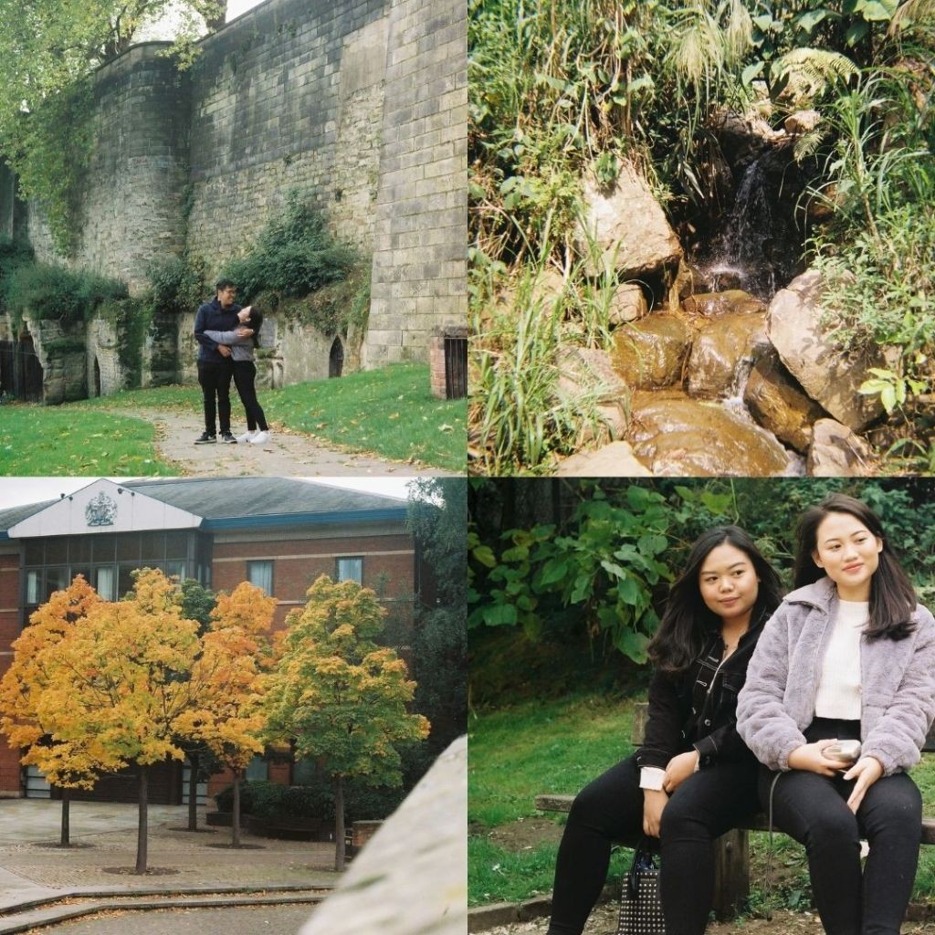 Kodak Pro Image 100 (FRESH Expired 2025) - Roll Film