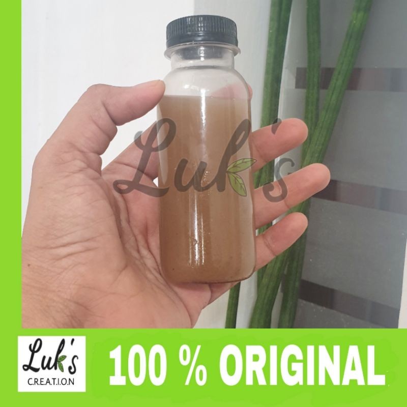 Pinan Shop Pupuk Organik Amino Plus Makmur Sembada Poc Amino Plus 100