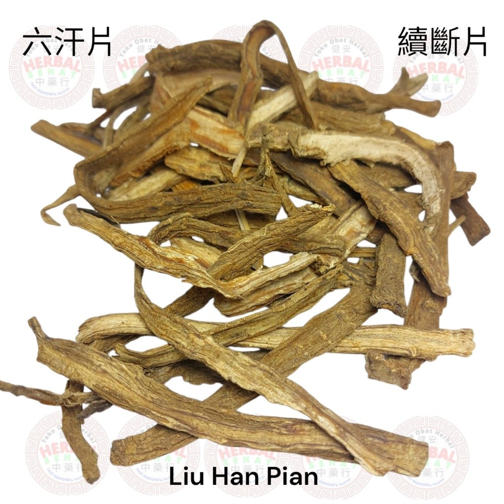

Xu Duan Pian / Liu Han Pian Radix Dipsaci - Liu Hon - Siuk Thon PREMIUM