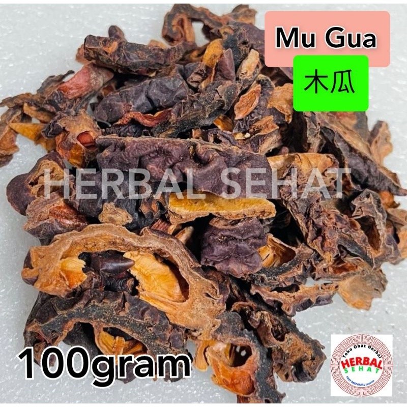 

Mu Gua Pian 100 Gram Fructus Chaenomelis Lagenariae PREMIUM
