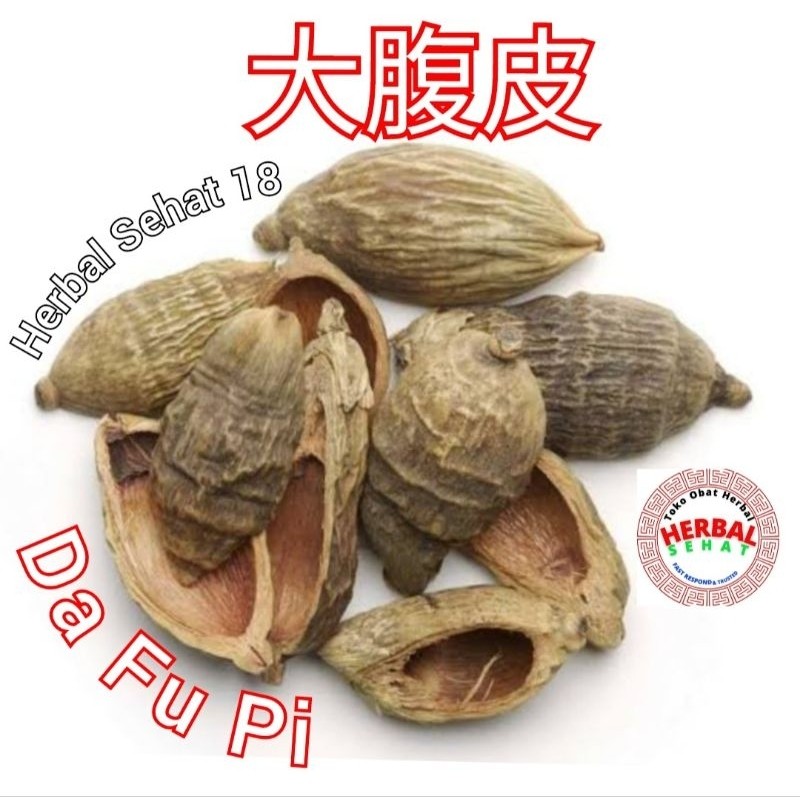 

[Grade A] Da Fu Pi / Ta Puk Phi / Pu Pi - Pericarpium Arecae seh PREMIUM