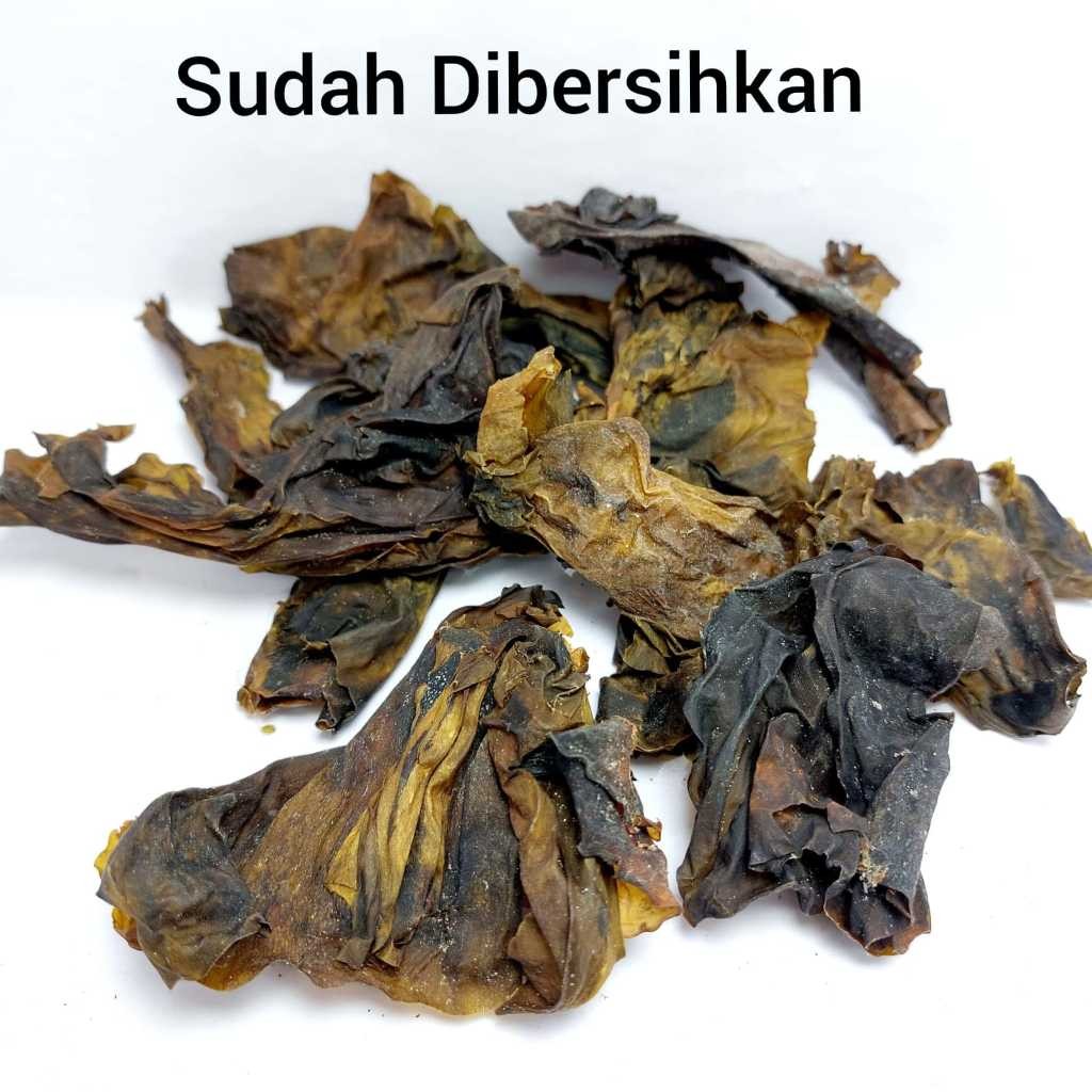 

Hai Dai Pi 600 gram Kelp / Dried / Dashima PREMIUM
