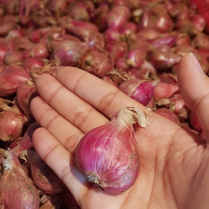

bawang merah ukuran besar 1 kg