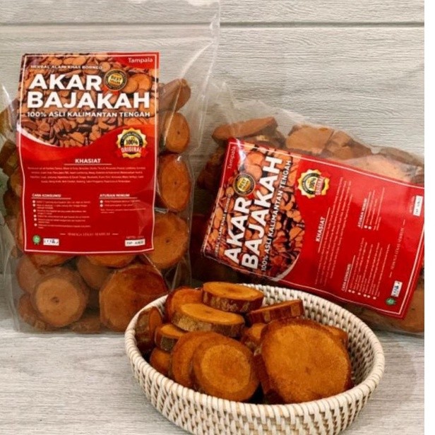 

Akar Kayu Bajakah Tampala kering siap seduh Obat Tumor dan Kanker 100% Asli Kalimantan