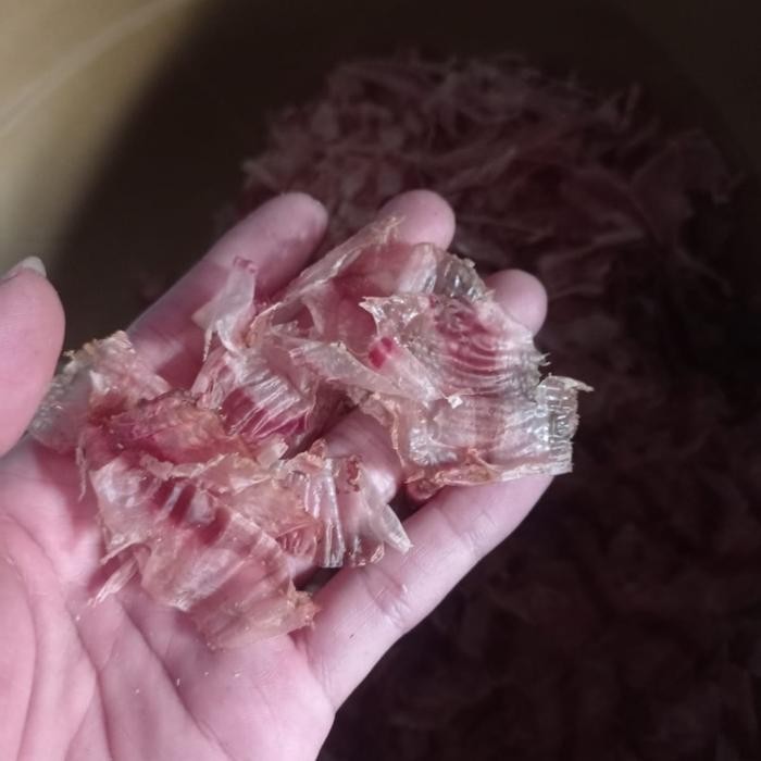 

Katsuobushi / Ikan Kayu / Cakalang Serut / Dried Bonito Terlaris