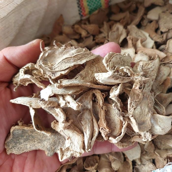 

TERMURAHH!! Lempuyang Kering 100 gram - Puyang Iris Kering