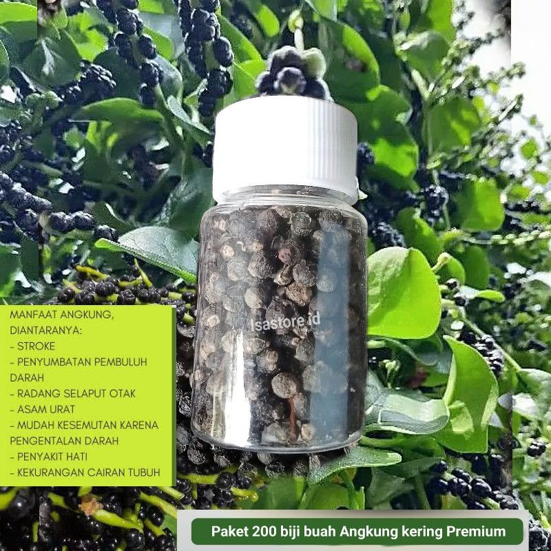 

200 Biji Buah Angkung Kering Obat Stroke Premium + 50 Bonus WE!!