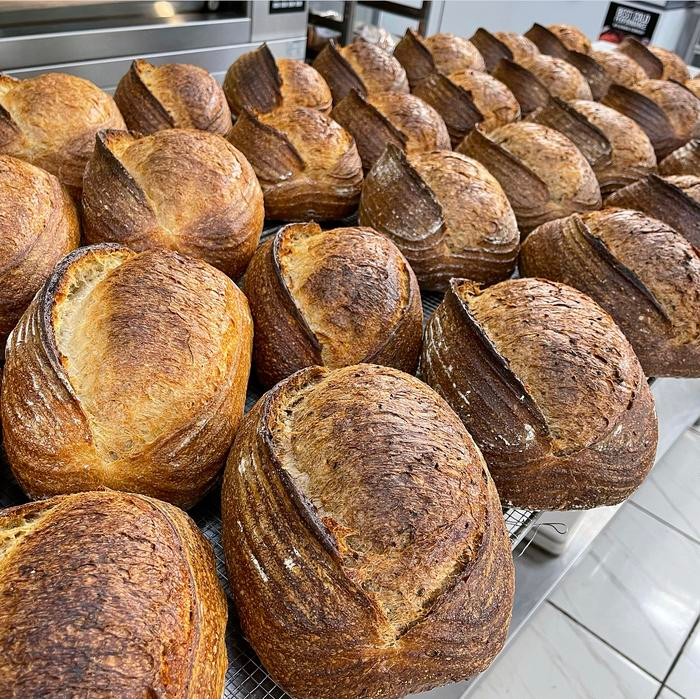 

JTTOP" DON BAKESHOP SOURDOUGH BREAD - COUNTRY BREAD