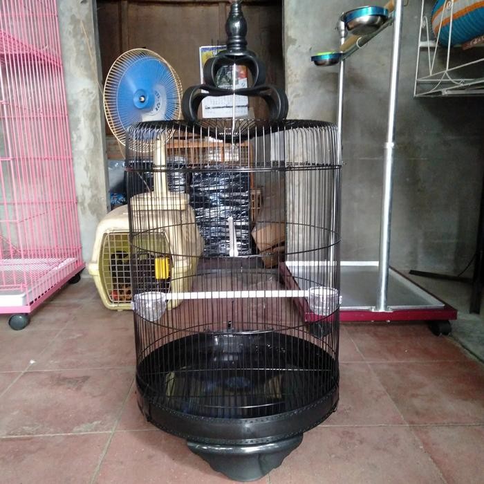 Murni Petshop - Sangkar Burung Lovebird Besi Jumbo Import