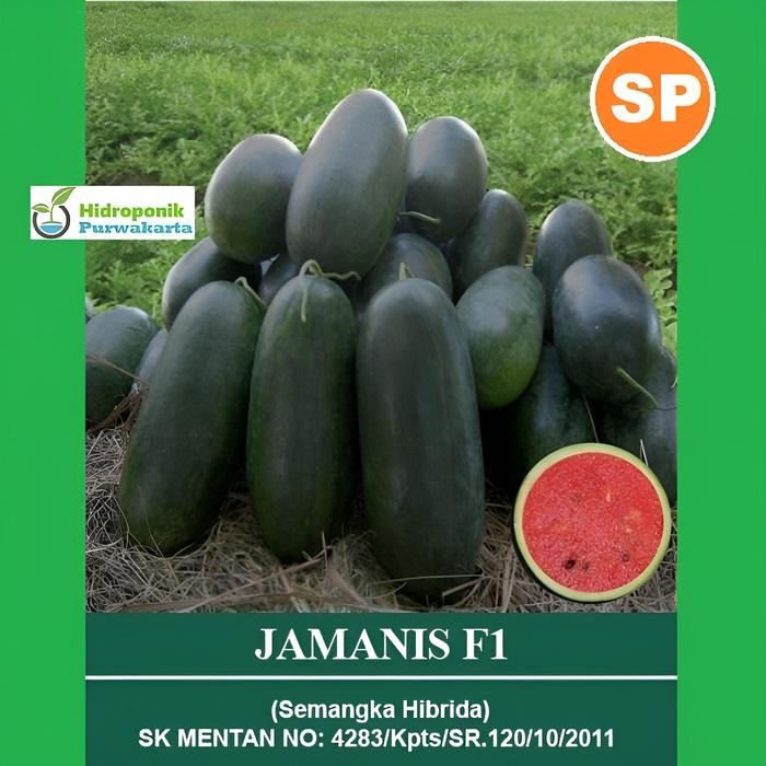 Ready Stock Benih Semangka Hibrida Jamanis F1 Tipe Inul Isi 30 Butir Cap Mutiara Bumi
