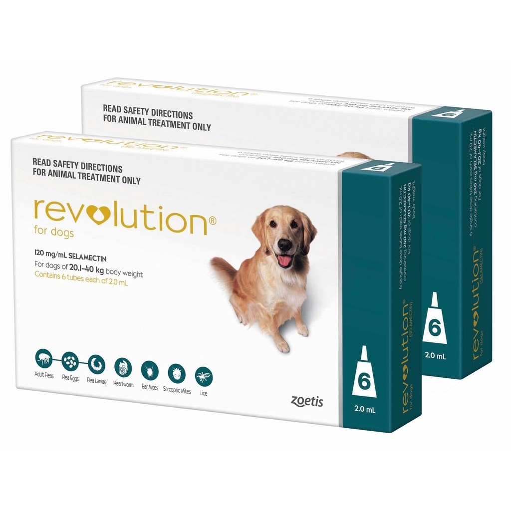 Repack Revolution teal / revolution dog - obat kutu anjing 2 ml