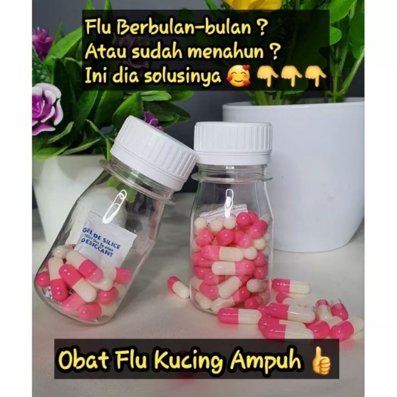 Obat Flu Kucing Ampuh