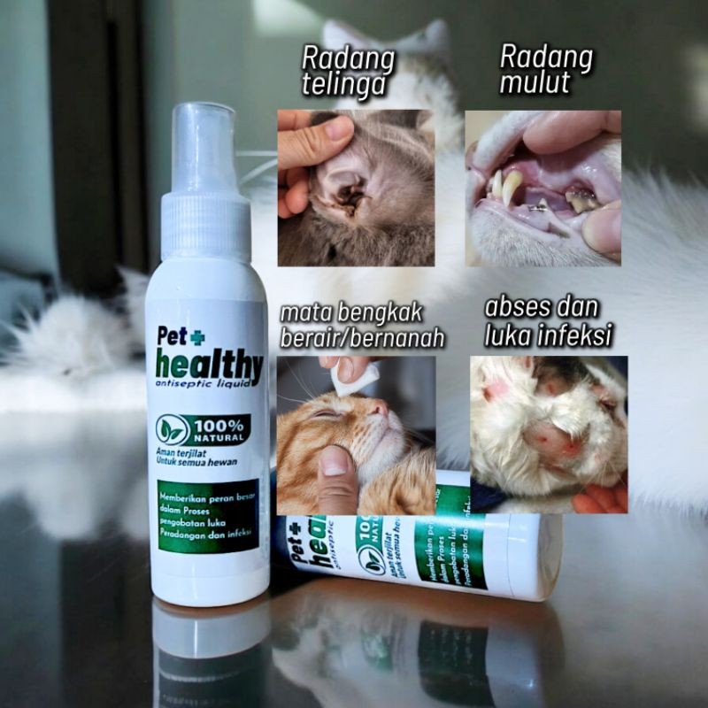Obat Luka Kucing Sariawan Abses Infeksi Kucing Anjing + Antibiotik PETCARE MEDICAT
