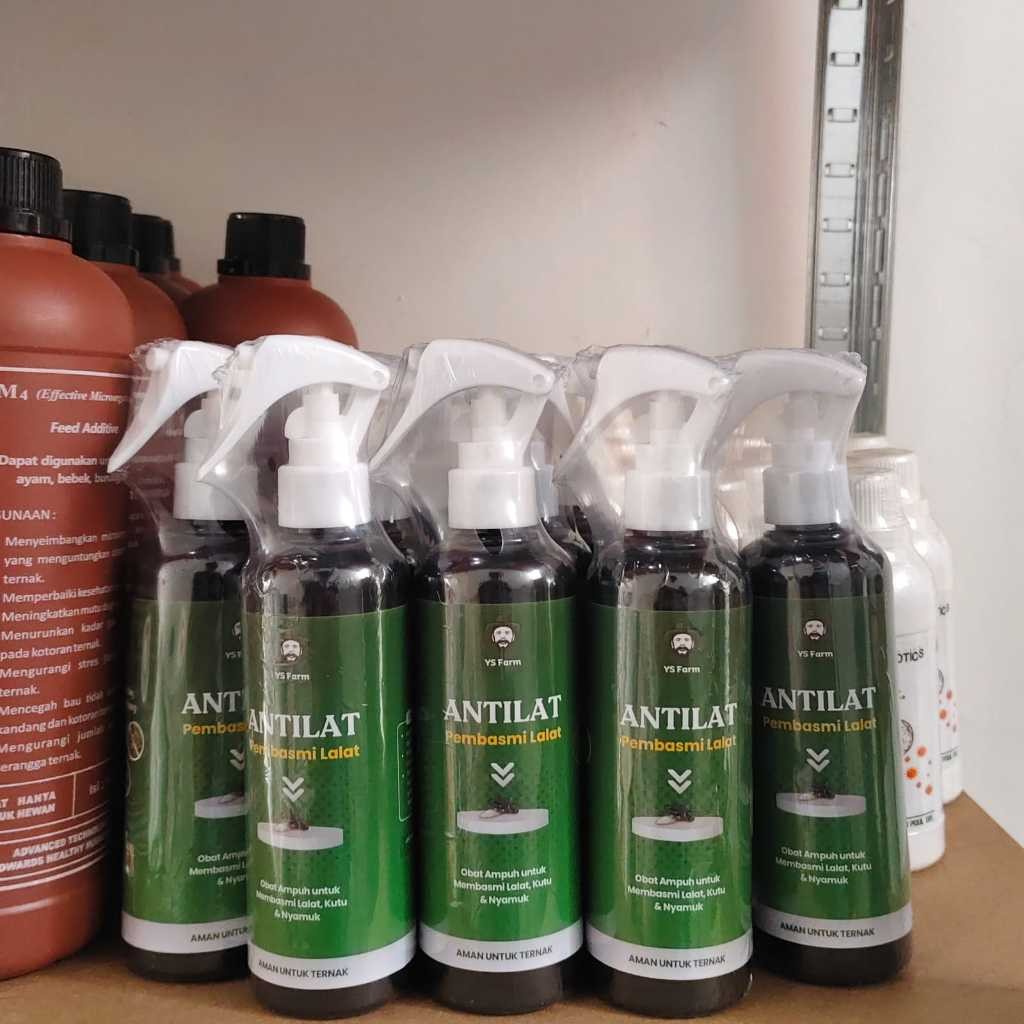Obat Pembasmi Lalat Pada Sapi Kambing Obat Lalat Sapi Luka Cepat Kering
